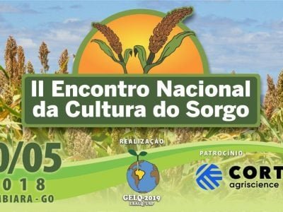 Capa Sorgo