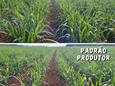 Captura de tela 2025-03-27 113823