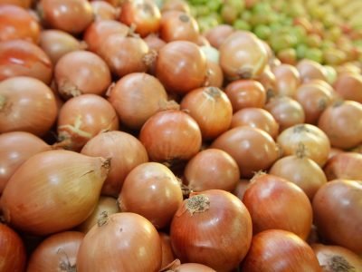 Cebola-Crédito-Embrapa-Hortaliças-08-2018