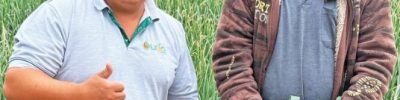 Daniel Wernke, assistente técnico comercial da Leão Agropecuária, e o produtor Lindomar Doerner