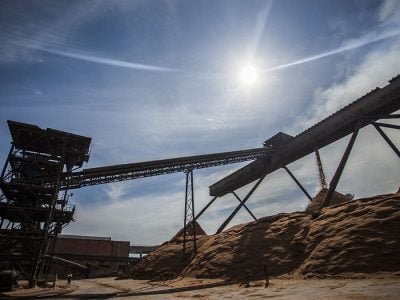 Celulose - Créditos Fibria