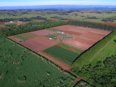 UPL destaca conceito OpenAg, rede aberta de inovação