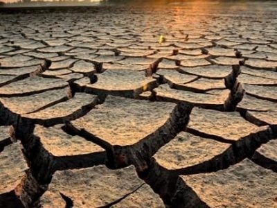 Crédito de imagem: Shutterstock