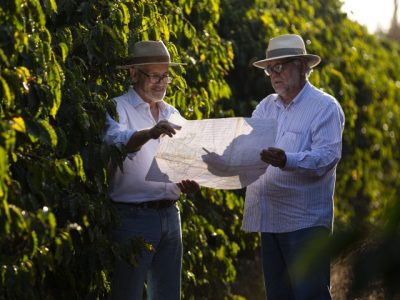 Acervo Sebrae
IG foi fruto da atuação conjunta do Instituto do Café da Chapada de Minas (ICCM) e do Sebrae Minas.
Sebrae e ICCM (Instituto do Cafe da Chapada de Minas) | Banco de Imagens do Cafe da Chapada de MinasNa imagem, a Fazenda JacutingaImagem: Leo Drumond / NITRO