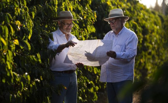 Acervo Sebrae
IG foi fruto da atuação conjunta do Instituto do Café da Chapada de Minas (ICCM) e do Sebrae Minas.
Sebrae e ICCM (Instituto do Cafe da Chapada de Minas) | Banco de Imagens do Cafe da Chapada de MinasNa imagem, a Fazenda JacutingaImagem: Leo Drumond / NITRO