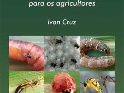 Citros-04-Credito-shutterstock_234146518-02-2021-4