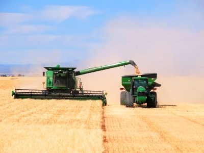 Colheita-01-Credito-Shutterstock-01-2023