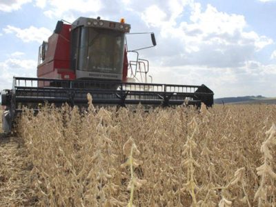 Colheita de soja na Embrapa Trigo, em Passo Fundo (RS), safra 2015. Foto de 17/03/2015.  Crédito da foto: Luiz Henrique Magnante