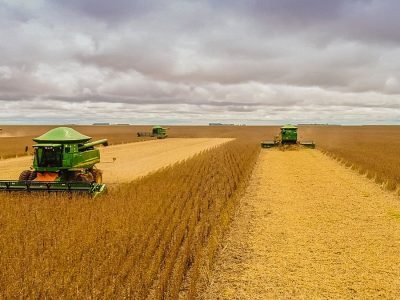 Colheita - Fotos: Shutterstock