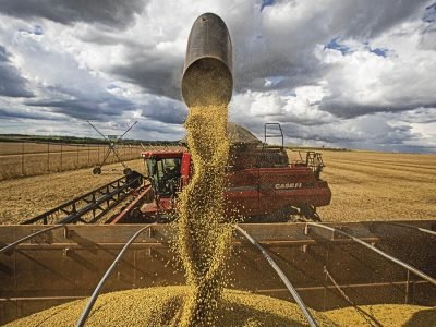 Colheita - Crédito CNA