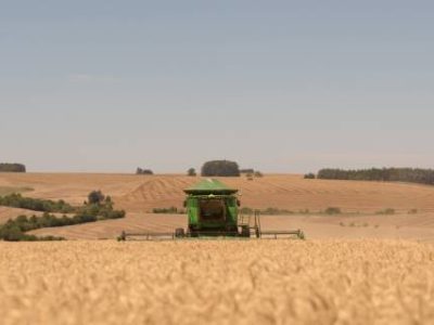 Colheita-TBIO-Capaz_Santa-Barbara-do-Sul-RS_Foto-Gui-Benck-Telefone