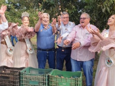 Colheita-da-Noz-Peca-Credito-Rejane-Costa-AgroEffective-Divulgacao-Telefone