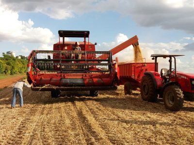 Colheita da Soja - Crédito Coopermil Divulgação