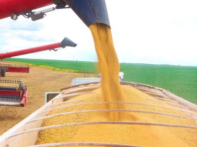 Colheita da safra de soja na Bahia alcança produtividade recorde com práticas sustentáveis