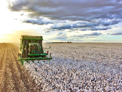 Crédito - Divulgação Abapa