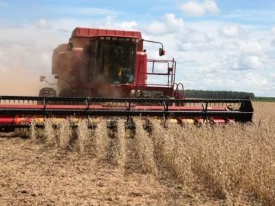 Mesmo com desvalorização da principal commodity agrícola, país aposta em aumento de área e produtividade no verão - Crédito Luize Hess