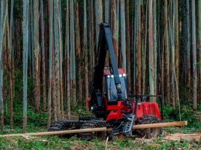 Colheita mecanizada - Fonte Gustavo Castro - Harvester