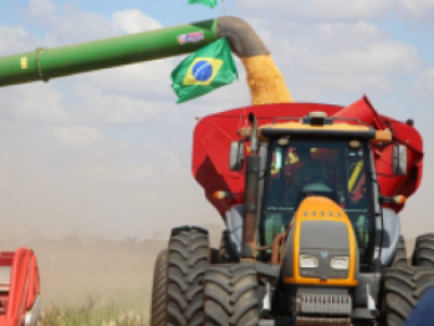 Colheita_milho1 (Telefone)