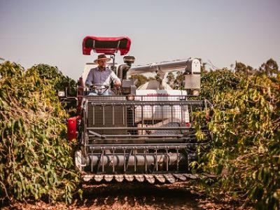 Colheitadeira-YANMAR-YH-880