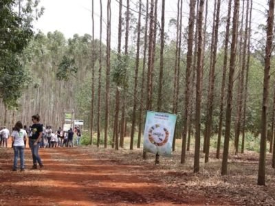 Colocar juntas para abrir matéria - Crédito Ana Maria Diniz (2)