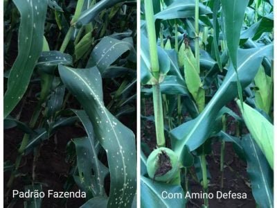 Comparativo-com-uso-do-Defesa