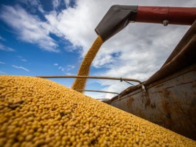 Complexo-Soja-Credito-CNA-1-Telefone