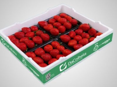 Conservadora-DaColheita-para-Morangos-Premium-Telefone