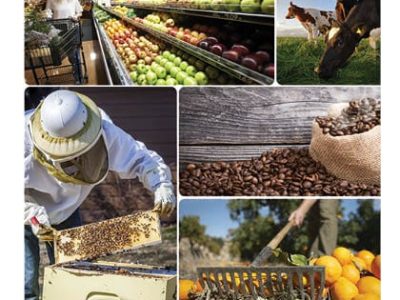 Convite - programa do campo ao consumidor