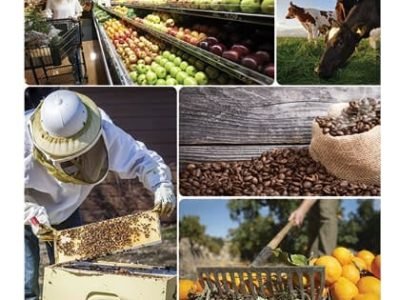 Convite - programa do campo ao consumidor