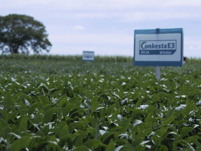 Corteva Enlist1