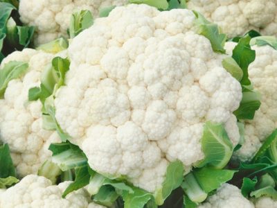 Couve-flor-Nevasca (Pequeno)