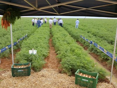 Crédito Agristar do Brasil