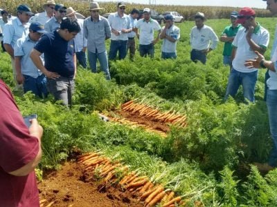 Crédito Agristar do Brasil