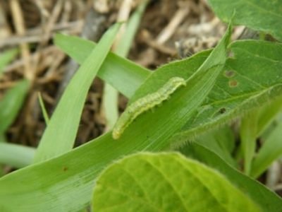 Crédito-CecÃ­lia-Czepak