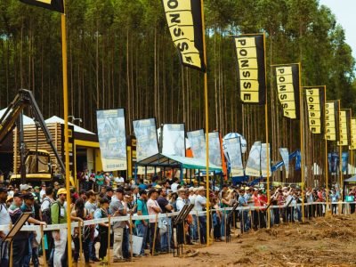 Credito-Divulgacao