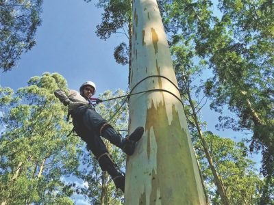 Alpinismo é a atividade ajuda na coleta de material genético