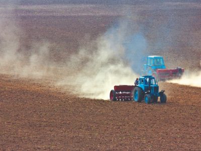 Crédito Shutterstock