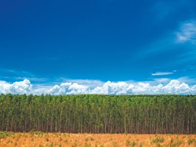Código e propostas de alterações na gestão ambiental