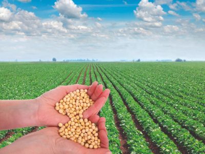 Crédito Shutterstock