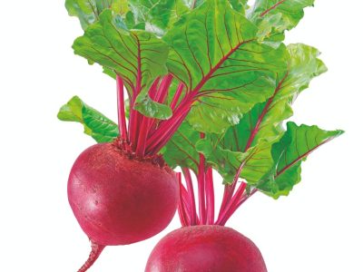 Padronização de tamanho da beterraba pelas algas