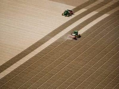 Crédito Shutterstock - Agricultura de precisão Precisão e planejamento da atividade