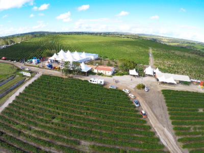 Crédito Valéria Vidigal (1)