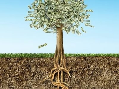 Crédito da foto Shutterstock Silvicultura potencial revista campo negócios agronegócio Brasil