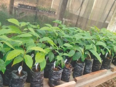 Créditos-Ernandes-Macedo-1024x576