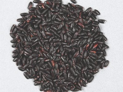 Créditos Sebastião Araújo