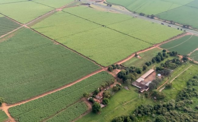 Centro de Pesquisa do Grupo Santa Clara