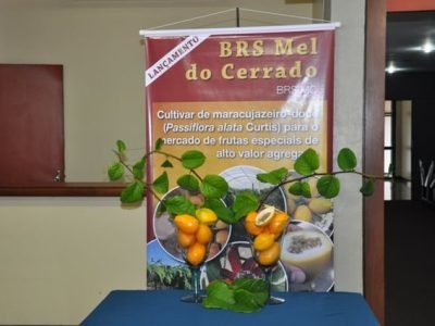 ????????????????????????????????????