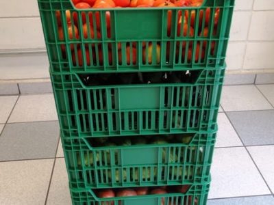 Caixas plásticas