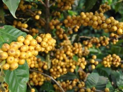 ????????????????????????????????????