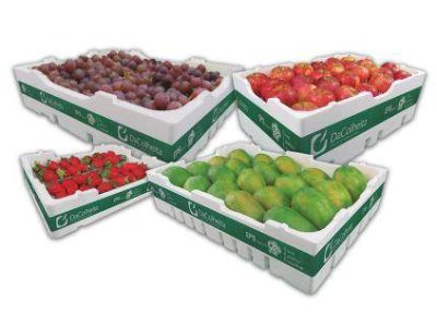 DaColheita_FruitLogistica2022